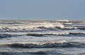 IMG_5978
