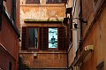 IMG_6039