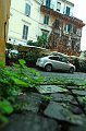 Roma40012