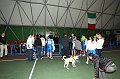 IMG_5479Mentana