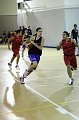IMG_3280AmichevoleAmichevoleW