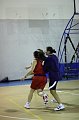 IMG_3316AmichevoleAmichevoleW