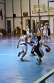 IMG_4112Athena