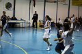 IMG_4113Athena