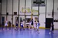 IMG_4121Athena