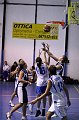 IMG_4168Athena
