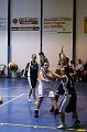 IMG_4176Athena