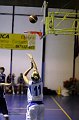 IMG_4197Athena