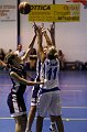 IMG_4212Athena