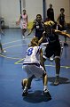 IMG_4229Athena