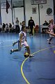 IMG_4247Athena