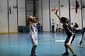 IMG_4264Athena