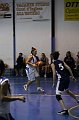 IMG_4290Athena