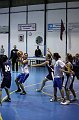 IMG_4323Athena