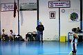 IMG_2767Athena