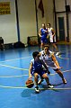 IMG_2802Athena
