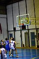IMG_2804Athena