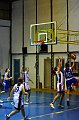 IMG_2806Athena
