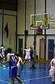 IMG_2809Athena