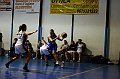IMG_2825Athena