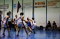 IMG_2837Athena