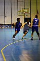 IMG_2843Athena