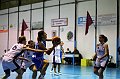 IMG_2857Athena