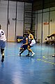 IMG_2863Athena
