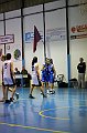 IMG_2869Athena