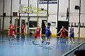 IMG_0524Ferentino