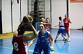IMG_0528Ferentino