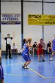 basket8570001