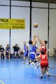 basket8570006