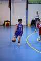 basket8570012