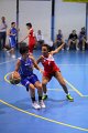basket8570014