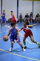 basket8570015