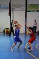 basket8570016
