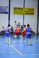 basket8570017
