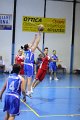 basket8570019