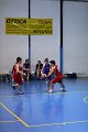 basket8570020