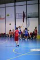 basket8570028