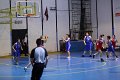 basket8570029