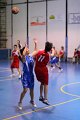 basket8570032