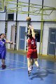 basket8570035