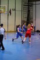 basket8570038