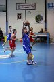 basket8570040