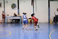 basket8570041