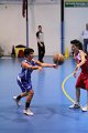 basket8570043