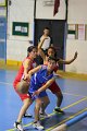 basket8570045