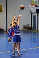 basket8570046